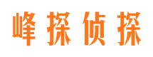 新安资产调查